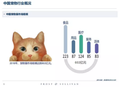 高收入、高學(xué)歷的單身人群，養(yǎng)寵前請先算清這筆賬