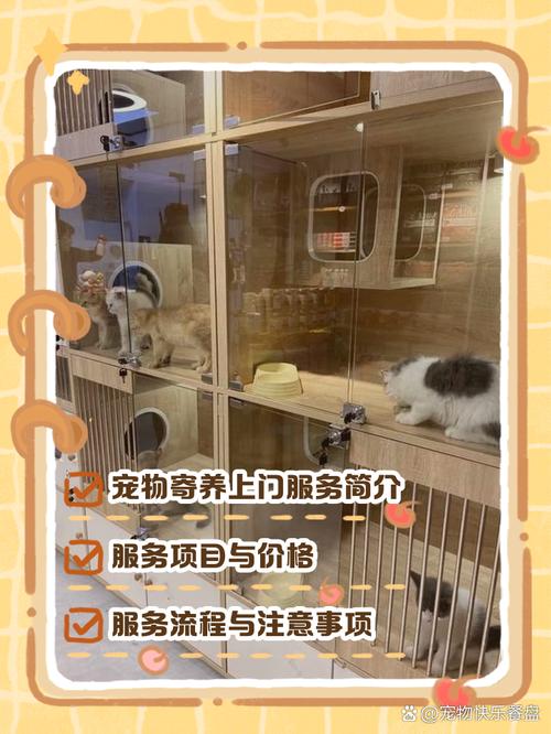 寵物寄養新趨勢 上門服務如何讓愛寵倍感安心